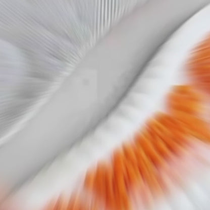 Shock-Absorbing Insoles